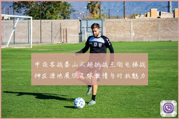 申花客战泰山汉超挑战王刚电梯战神发源地展现足球激情与对抗魅力