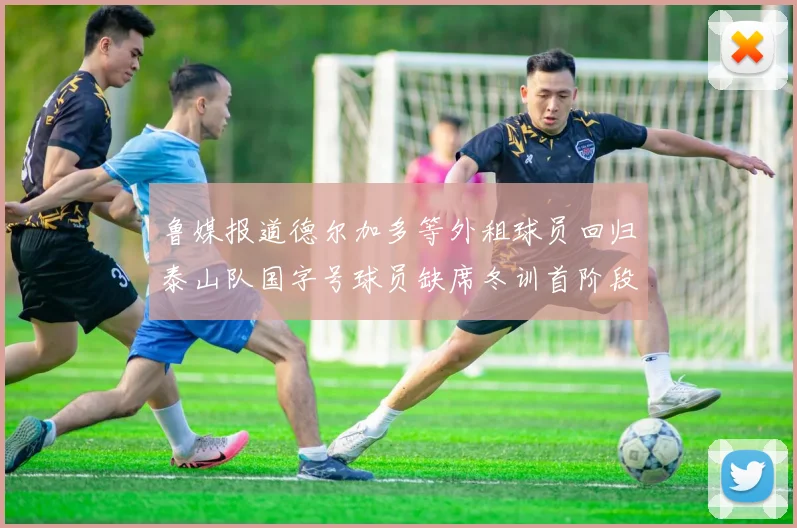 鲁媒报道德尔加多等外租球员回归泰山队国字号球员缺席冬训首阶段